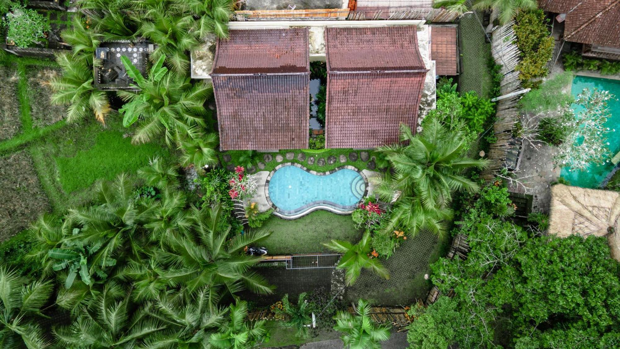 Villa Ancut Sari Private Ubud